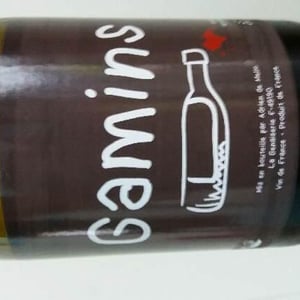 Domaine de la Petite Soeur - Adrien de Mello - Gamins