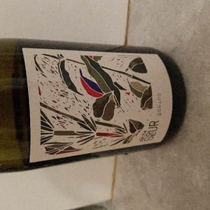 Domaine de la Petite Soeur - Adrien de Mello - Gamins