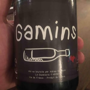 Gamins - Domaine de la Petite Soeur - adrien-de-mello
