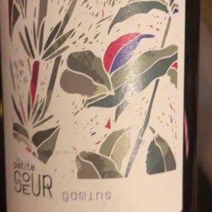 Gamins - Domaine de la Petite Soeur - adrien-de-mello