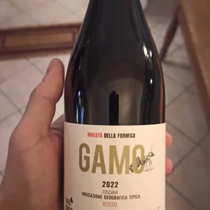 Gamo - Maestà Della Formica - andrea-elmi-gian-luca-guidi-marco-raffaelli