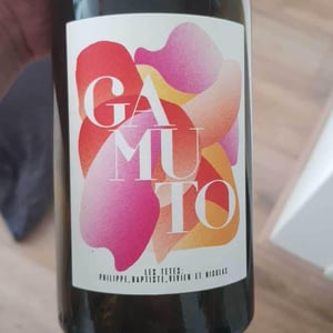 Gamuto - Les Têtes - philippe-mesnier-vivien-blot-baptiste-lardeux -2021