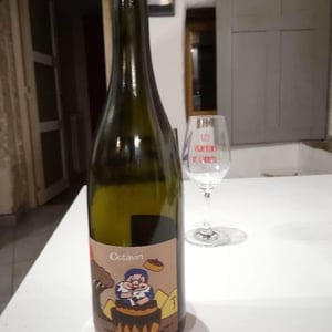 Ganache - Domaine de l'Octavin - alice-bouvot