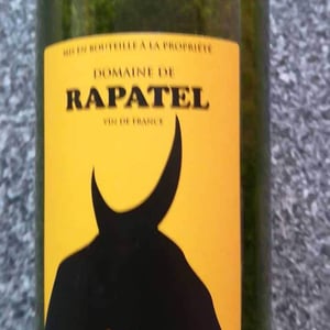 Gard Blanc - Domaine de Rapatel - Gérard Eyraud --1