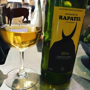 Gard Blanc - Domaine de Rapatel - Gérard Eyraud --1
