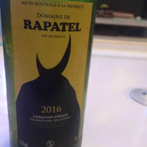Domaine de Rapatel - Gérard Eyraud - Gard Blanc