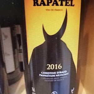Gard Blanc - Domaine de Rapatel - gerard-eyraud --1