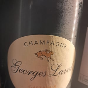 Garennes Extra Brut - Champagne Georges Laval - mathilde-et-vincent-laval