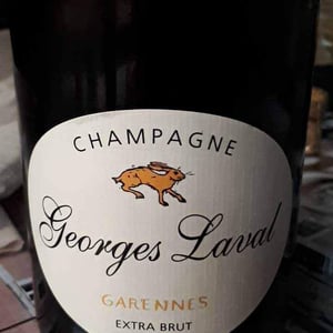 Garennes Extra Brut - Champagne Georges Laval - Mathilde et Vincent Laval 