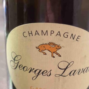 Garennes Extra Brut - Champagne Georges Laval - Mathilde et Vincent Laval 