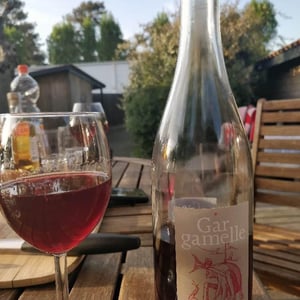 Gargamelle - Ariane & Co / Goût à goutte - ariane-lesne