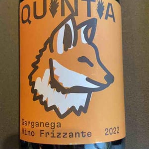 garganega frizzante - quintia - azienda-vitivinivola-quintia -2022
