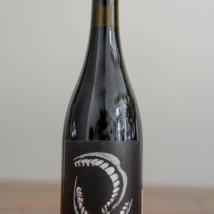 Garganta Funda - Indício Wines - alexandre-botelho -2021