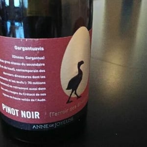 Gargantuavis - Terroir Des Dinosaures - anne-de-joyeuse
