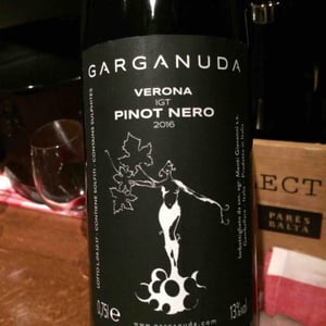 Pinot Nero 2016