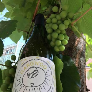 Azienda Agricola La Biancara - Angiolino Maule - Garg'n'Go