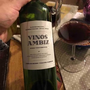 Garnacha - Vinos Ambiz - Fabio Bartolomei 