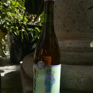 Garnacha Y Tempranito - Vinos Barrigones - jaime-niembro-julio-rodriguez-daniela-jimenez -2022