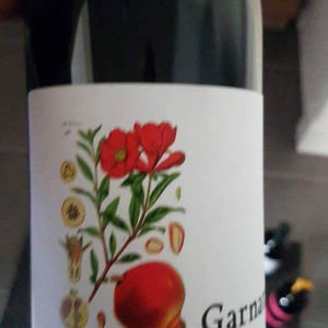 Garnata - Barranco Oscuro - Manuel & Lorenzo Valenzuela 