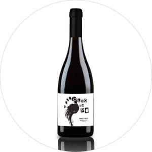 Olho No Pé Pinot Noir - Folias de Baco - tiago-sampaio