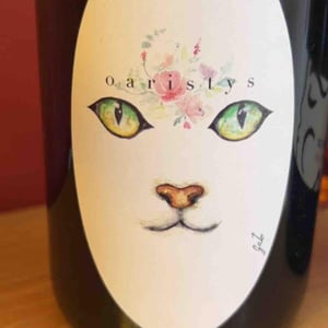 Gato - Mas guallar - Camila Opazo -2023