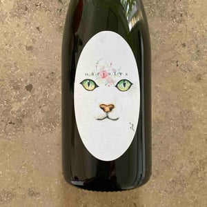Gato - Mas guallar - camila-opazo -2023