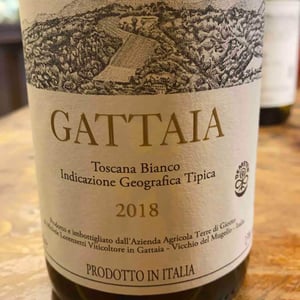 Gattaia Chenin Blanc - Terre di Giotto - Michele Lorenzetti 