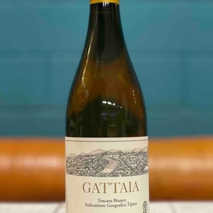 Gattaia Chenin Blanc - Terre di Giotto - michele-lorenzetti