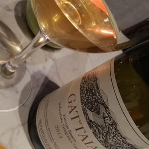 Gattaia Chenin Blanc - Terre di Giotto - michele-lorenzetti