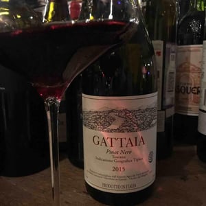 Gattaia Pinot Nero - Terre di Giotto - Michele Lorenzetti 