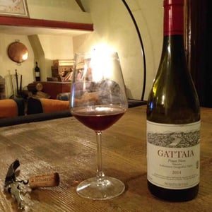 Gattaia Pinot Nero
