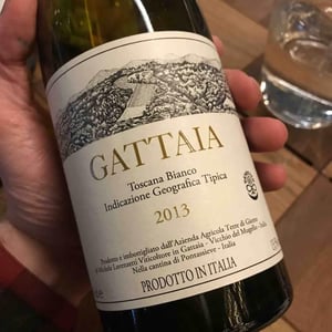 Gattaia 2013