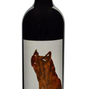 Gatto Rosso - Sagona - Daniele Corrotti 