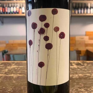 Gattorosso - Sagona - daniele-corrotti -2022