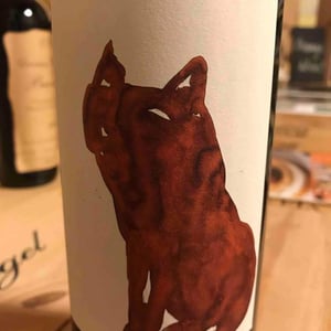 Gattorosso 2018 - Sagona - Daniele Corrotti -2022