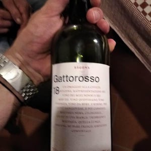 Sagona - Daniele Corrotti - Gattorosso