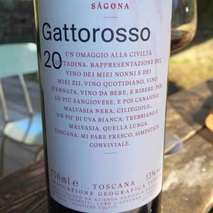 Gattorosso - Sagona - daniele-corrotti -2022