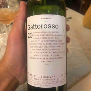 Gattorosso - Sagona - Daniele Corrotti -2022