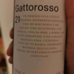 Gattorosso - Sagona - Daniele Corrotti -2022