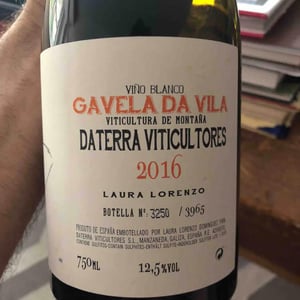 Gavela de Vila - Daterra Viticultores - laura-lorenzo-dominguez