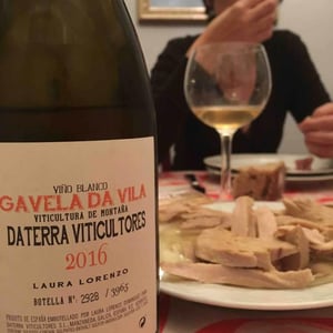 Gavela de Vila - Daterra Viticultores - Laura Lorenzo Dominguez 