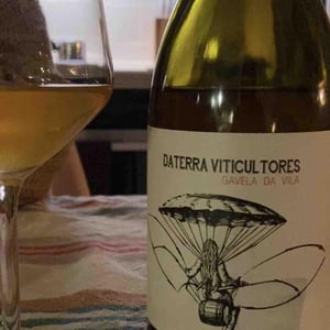 Gavela de Vila - Daterra Viticultores - Laura Lorenzo Dominguez 