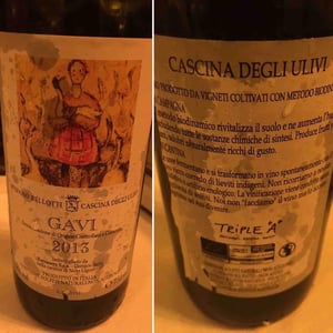Gavi 2013