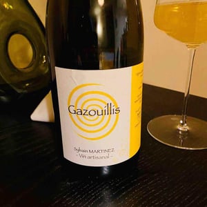 Gazouillis - Sylvain Martinez - Sylvain Martinez 