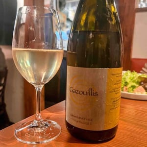 Gazouillis - Sylvain Martinez - sylvain-martinez