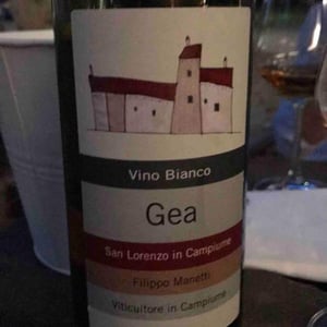 Gea - Vigne di San Lorenzo - filippo-manetti