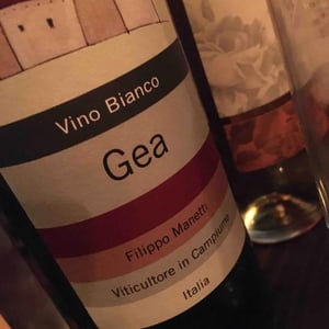 Gea - Vigne di San Lorenzo - Filippo Manetti 