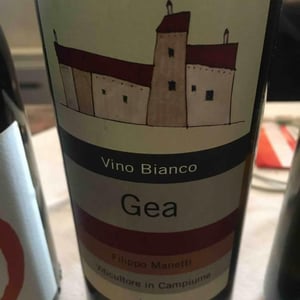 Gea - Vigne di San Lorenzo - filippo-manetti