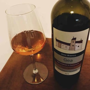 Gea - Vigne di San Lorenzo - Filippo Manetti 