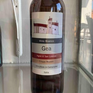 Gea - Vigne di San Lorenzo - Filippo Manetti 